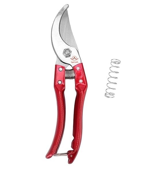 Hoof Cutter - Image 6