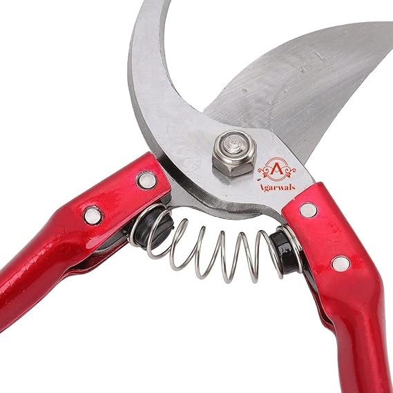 Hoof Cutter - Image 3