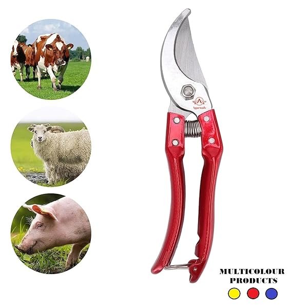 Hoof Cutter - Image 2