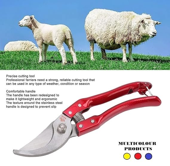 Hoof Cutter